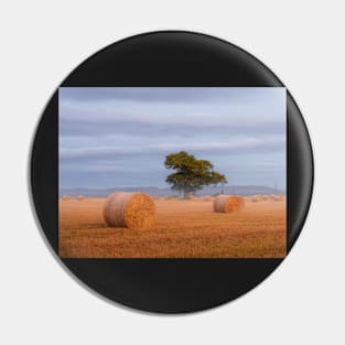 Misty Fall Harvest Pin