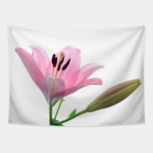 Lily the Pink Tapestry