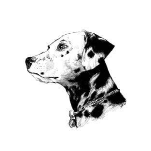 Dalmatian Drawing T-Shirt