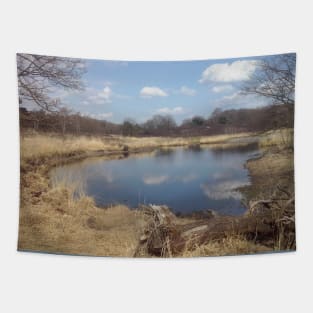 Pond Tapestry