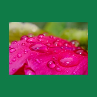 Raindrops on Petals. Flower Photography T-Shirt