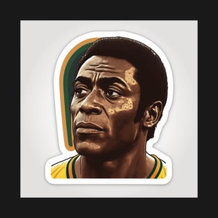 Brazil's Legend Pele T-Shirt