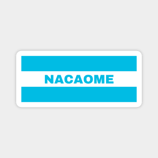 Nacaome City in Honduras Flag Colors Magnet