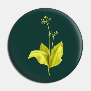 Wild Garlic Green Plant Botanical Art Pin