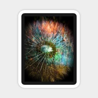 Dandelion Flower Colors Magnet