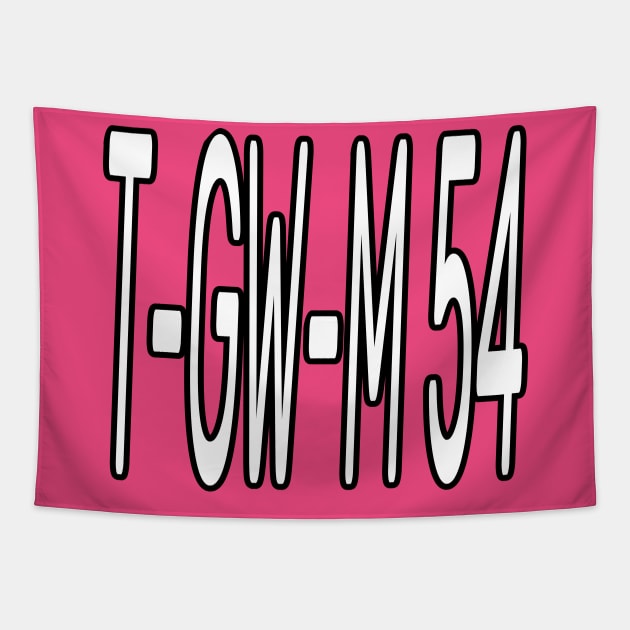 T-GW-M54 Tapestry by Desert Boy