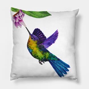 Colorful Hummingbird Pillow