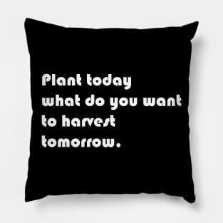 Plant today what you want to harvest tomorrow Pillow