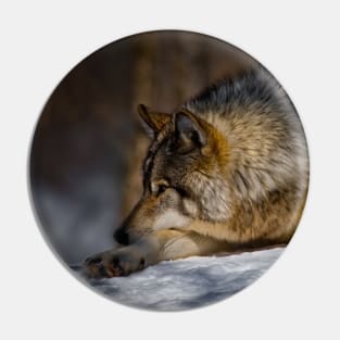 Gray Wolf Pin