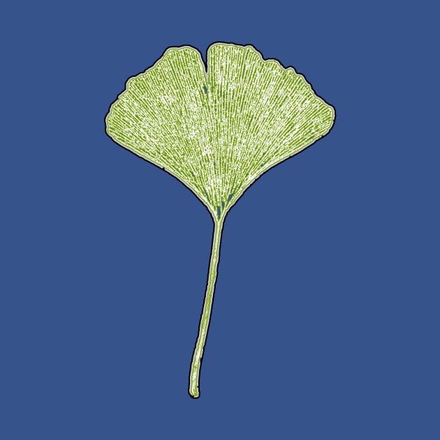 Ginkgo Leaf by Nikokosmos