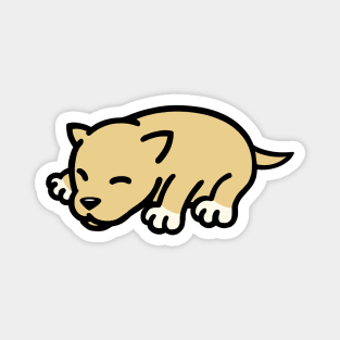 baby dingo pupy Magnet