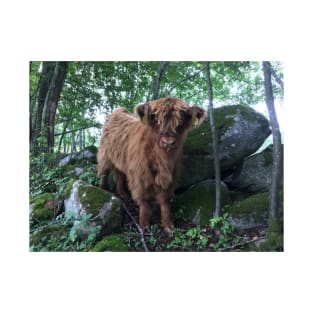 Scottish Highland Cattle Calf 1507 T-Shirt