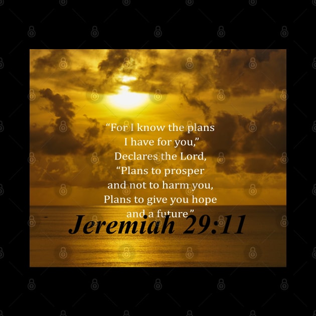 Jeremiah 29:11 Religious Quote by thebuniverse