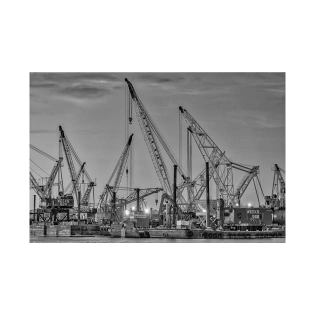 Cranes B+W by jforno