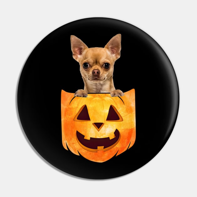 Chihuahua pumpkin cheap
