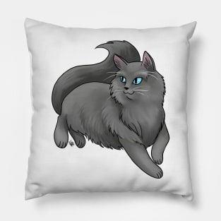 Cat - Ragdoll - Black Pillow