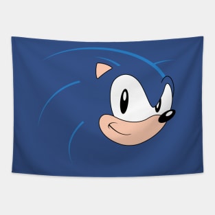 Classic Style Sonic Tapestry