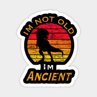 I’m not old I’m ancient Magnet