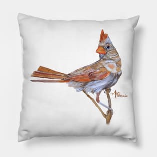 Female Cardinal Pillow