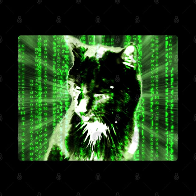 Matrix cat by AnnArtshock