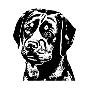 Rottweiler Ink Drawing T-Shirt