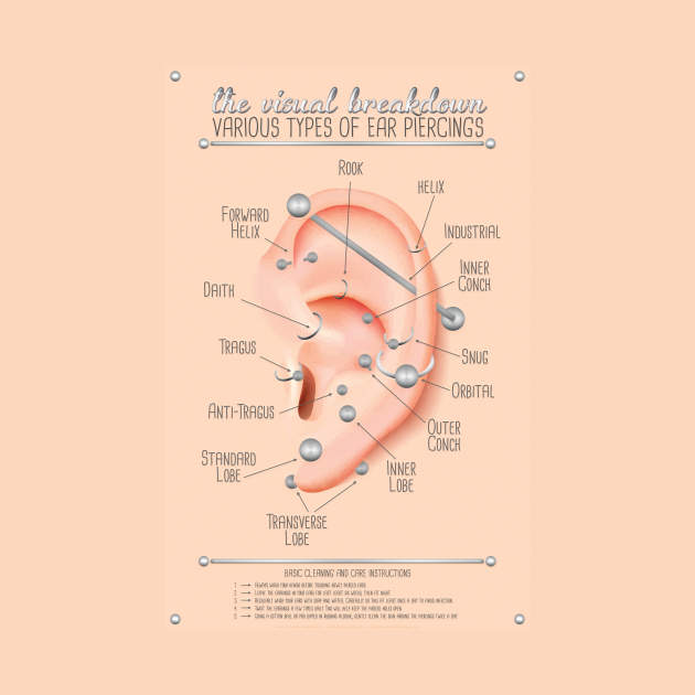 Ear Piercing Infographic Chart Ear Piercing Pin TeePublic