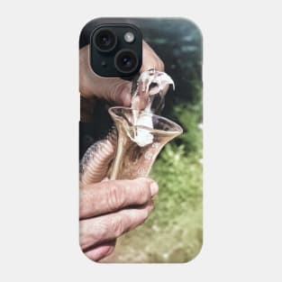 colorized vintage photo of snake venom extraction Phone Case