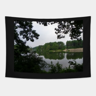 Lake View Photography Art, Beautiful Pine Trees, Nature Scenery Tapestry