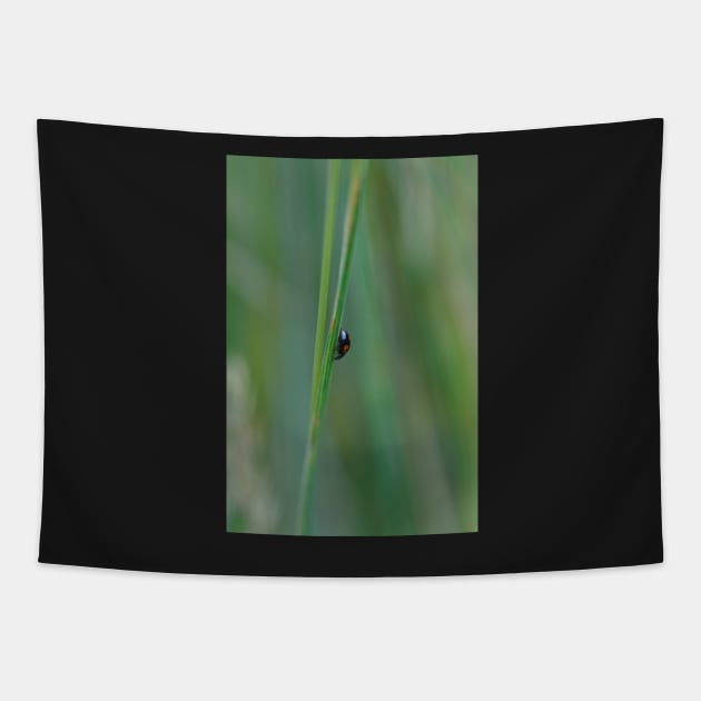 black ladybug Tapestry by Shadow3561