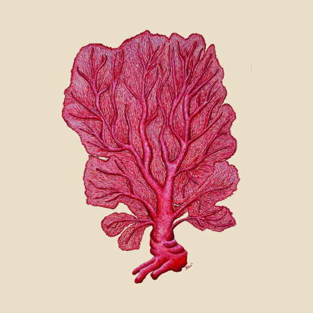 Coral Venus red seafan by chloeyzoard