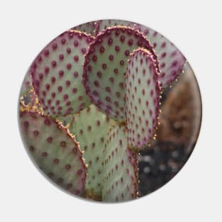 Closeup of Purple Cactus Pin