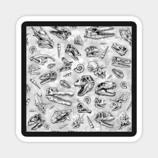 Dinosaur skull sketch tiled pattern white Magnet