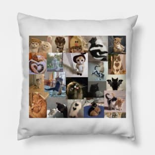 cats aesthetic collage Pillow