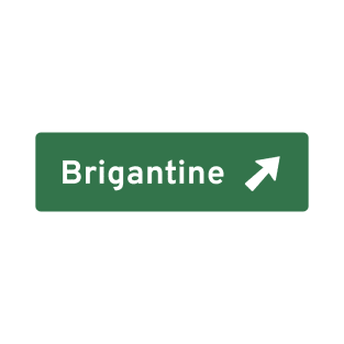 Brigantine Highway Exit T-Shirt