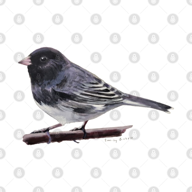 Dark Eyed Junco (perched) bird painting by EmilyBickell