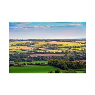 South Downs Beacon Hill Hampshire England T-Shirt