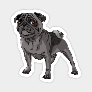 Black pug Dog Magnet