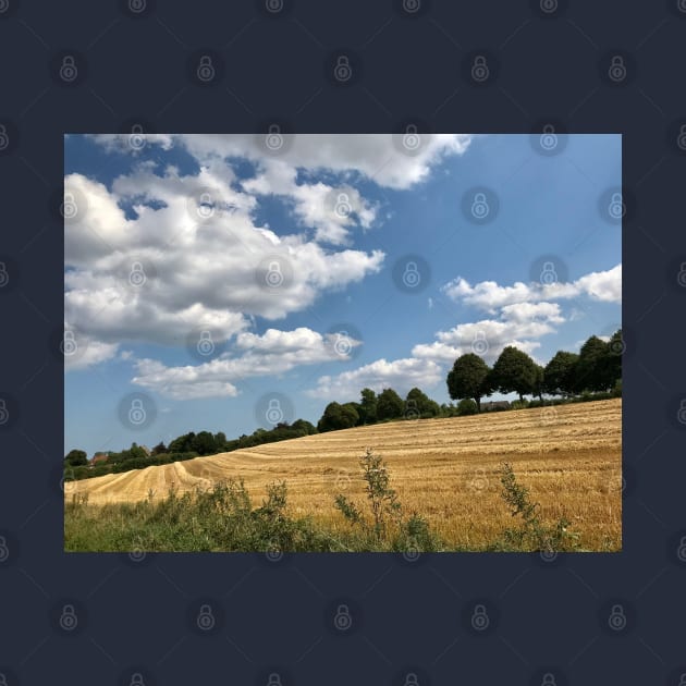 Rural German landscape in Schleswig-Holstein by Khala