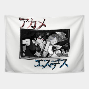 Akame ga kill Tapestry