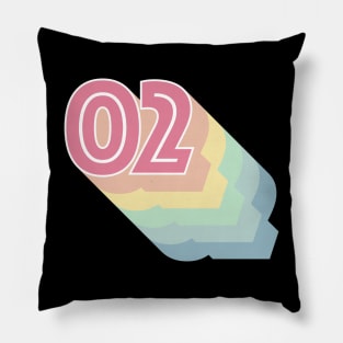 02 Pillow