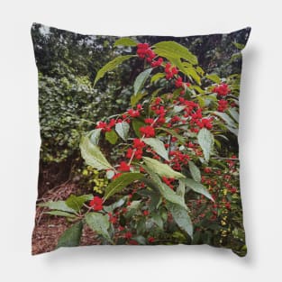 Late September Morning New England Nature Walk - winterberries Pillow