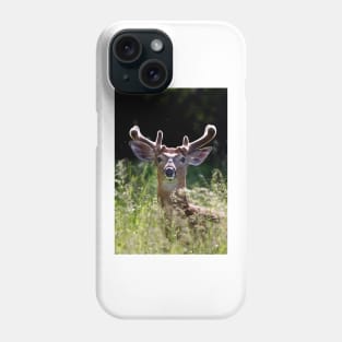 He wore Velvet - White-tailed Deer Phone Case