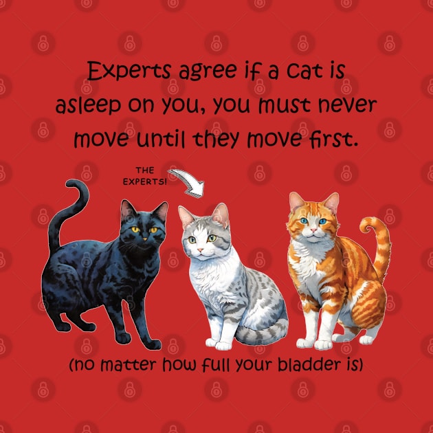 Experts agree if a cat is asleep on you, you must never move until they move first - funny watercolour cat design by DawnDesignsWordArt