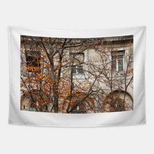 Parisian Building Facades - 6 © Tapestry