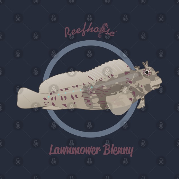 Lawnmower Blenny by Reefhorse