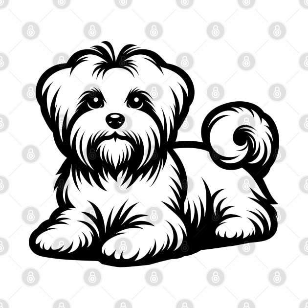 Maltese Dog by KayBee Gift Shop