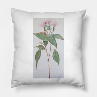 Pink Gumnut Stem - Beautiful Soft Flower Pillow