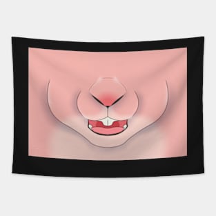 Sugar Pink Bunny Face Tapestry