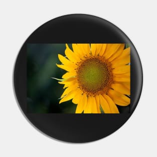 Sunshine Pin