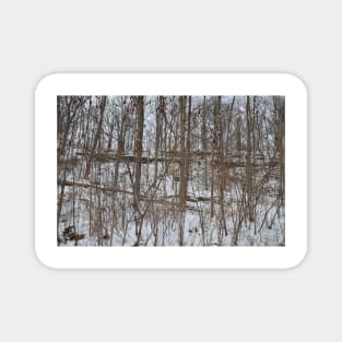 Escarpment snow fall Magnet